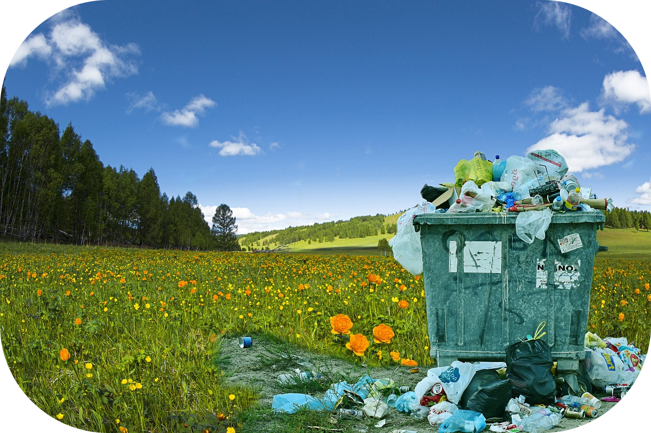 Poubelle et pollution